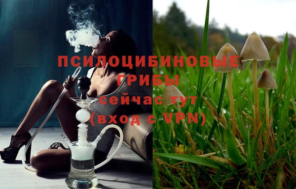 mdma Каменногорск