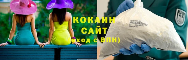 PSILOCYBIN Каменка