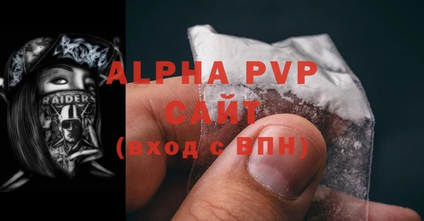 PSILOCYBIN Каменка