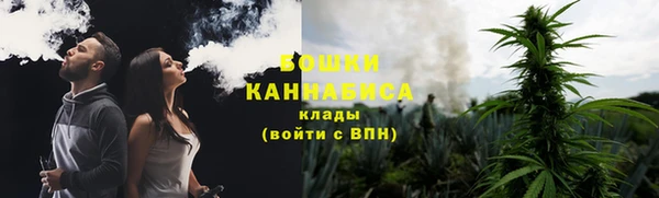 PSILOCYBIN Каменка