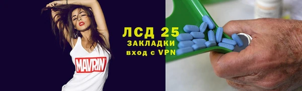 PSILOCYBIN Каменка