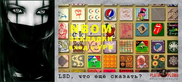PSILOCYBIN Каменка