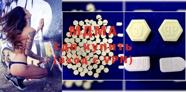 PSILOCYBIN Каменка
