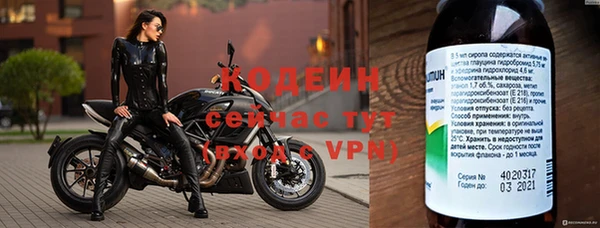 PSILOCYBIN Каменка