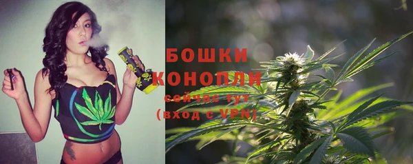 mdma Каменногорск