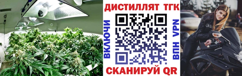 ТГК концентрат  Купить  Джанкой 